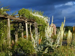 Dancing Oaks Nursery