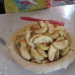 Apple Pies and Tart 022