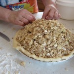 Apple Pies and Tart 026